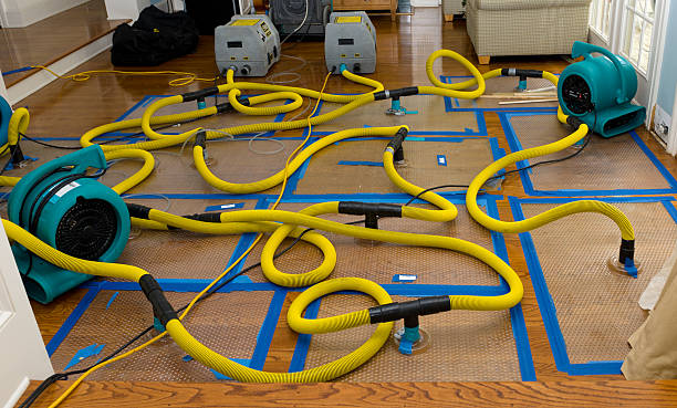 Professional Crawl Space Water Removal technician working in Hiawassee, GA